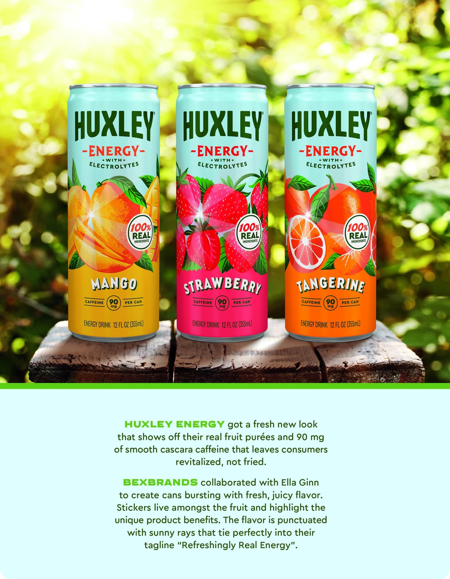 Huxley Energy Rebrand