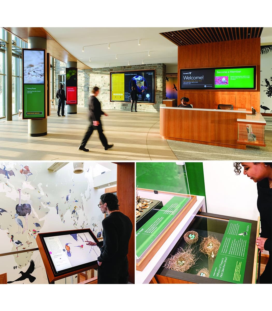 Visitor Center Graphics