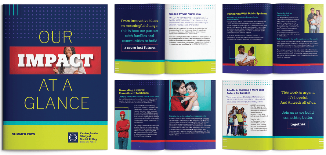Impact at a Glance Mini Booklet