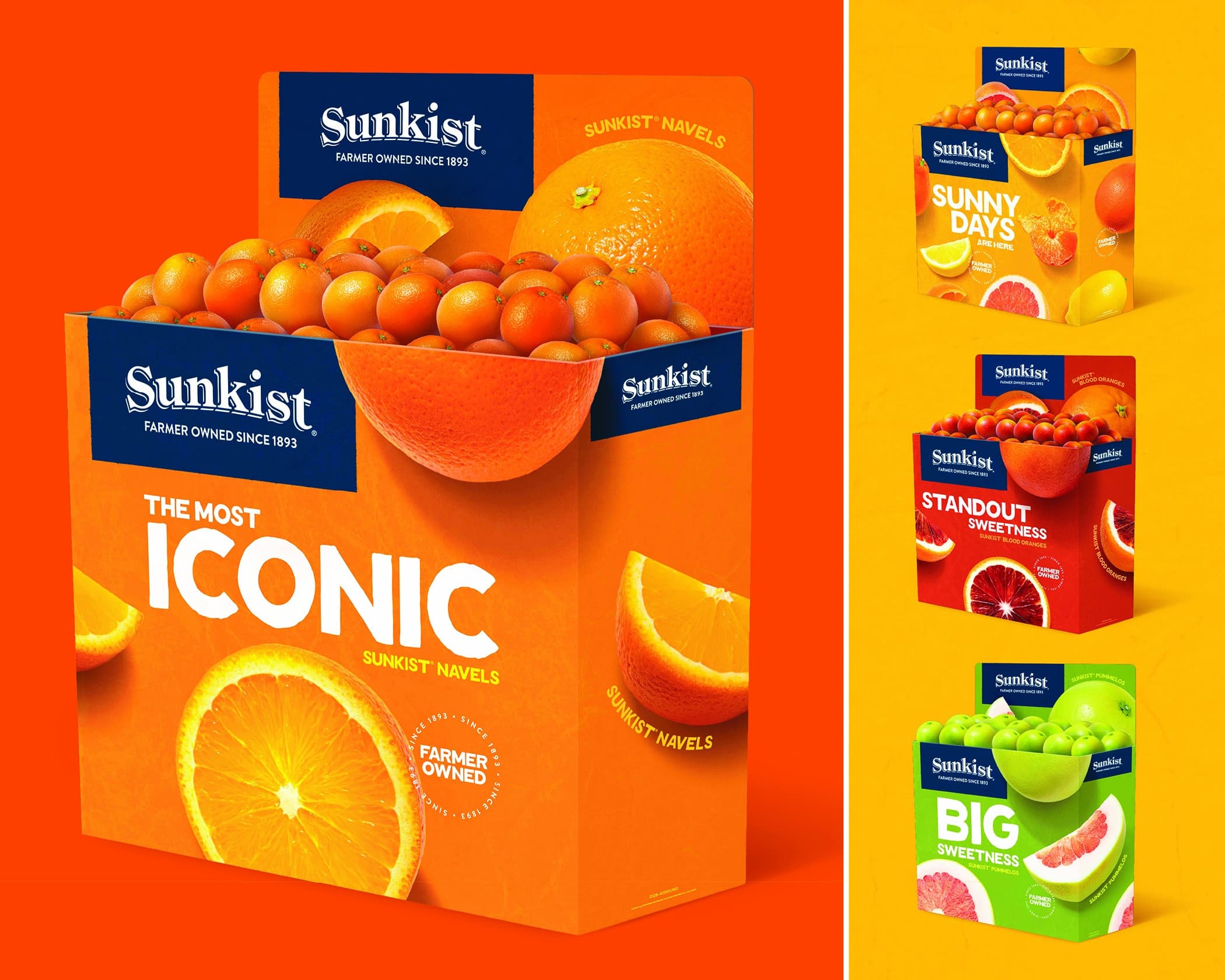Sunkist Growers Merchandising Bins