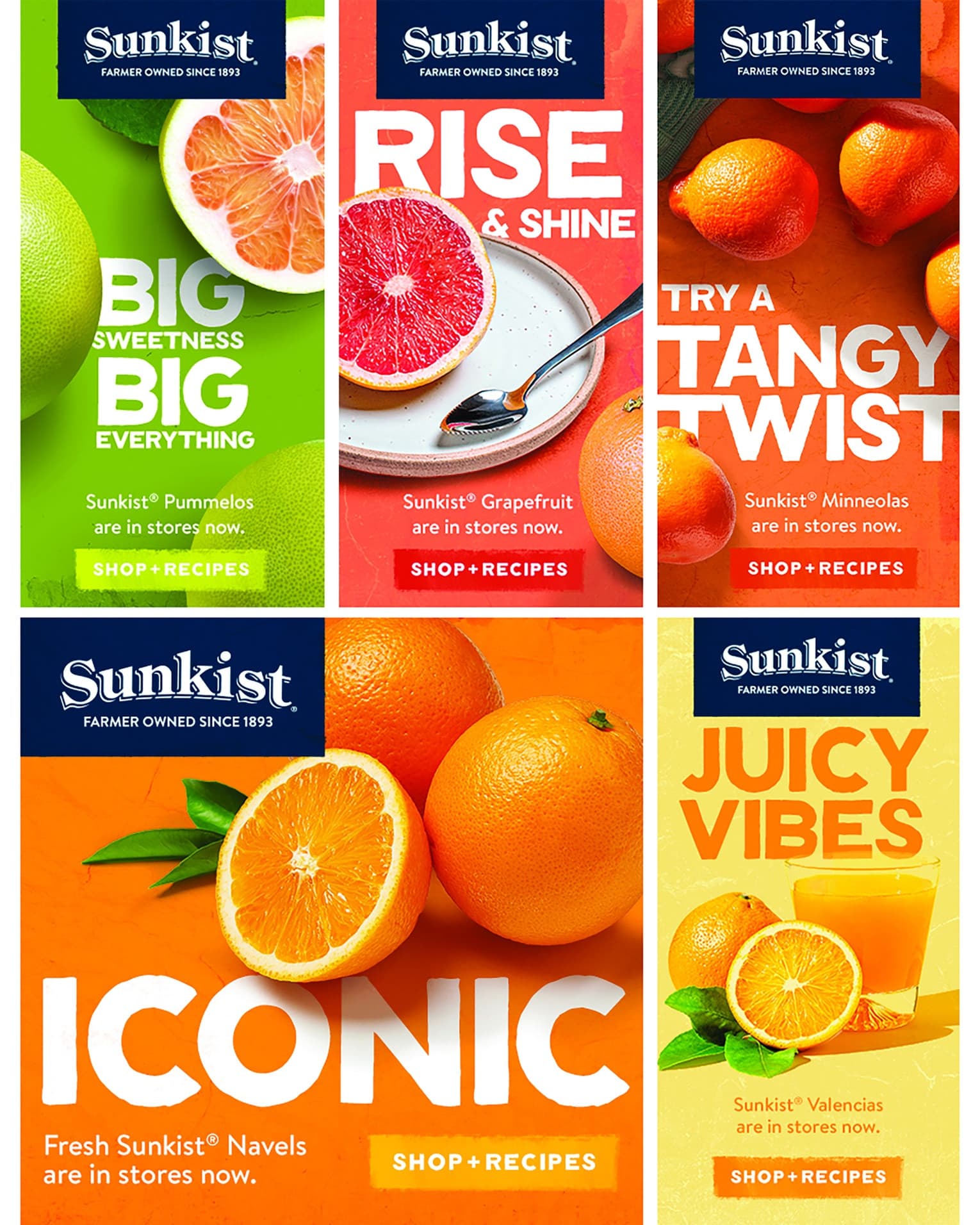 Sunkist Growers Digital Ad Campaign
