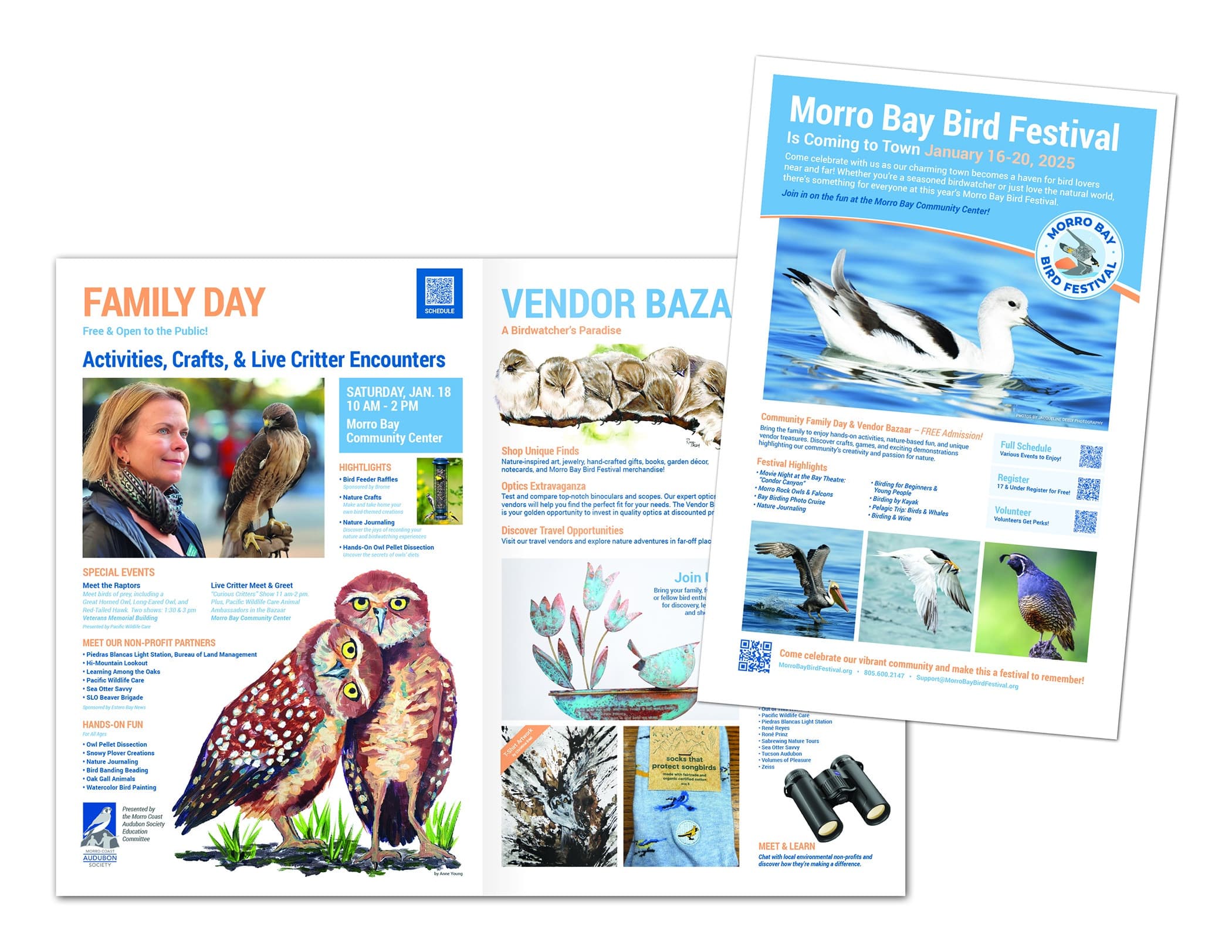 Morro Bay Bird Festival Advertising Insert