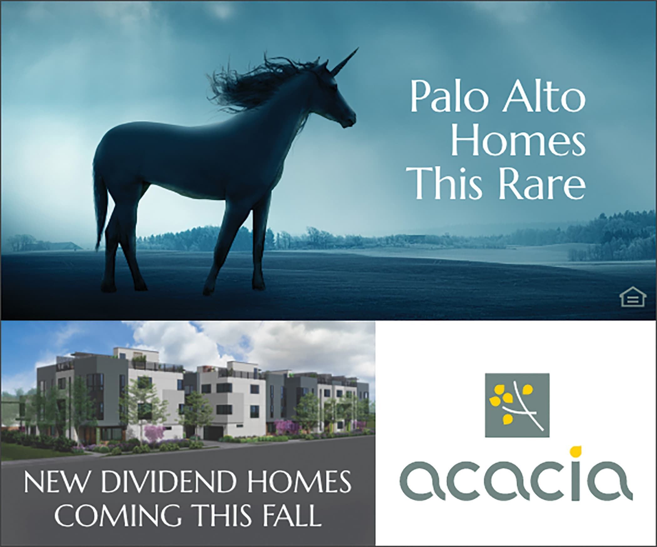 Dividend Homes Acacia Palo Alto Unicorn