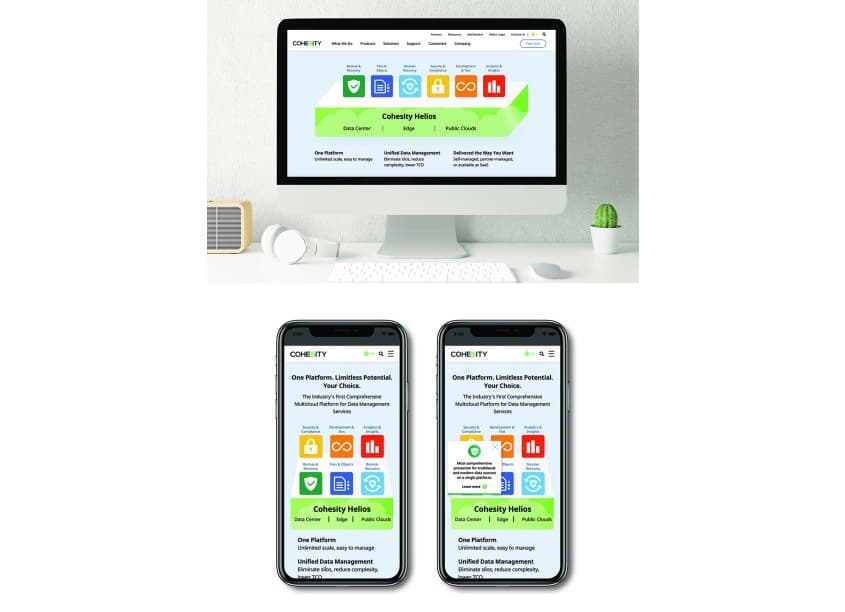 Cohesity Helios Interactive Web
