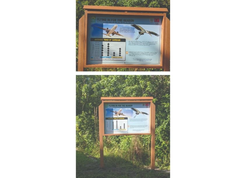 Flying In For The Season Signs