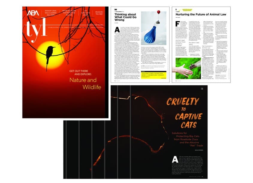 TYL, Fall 2020 Issue Design