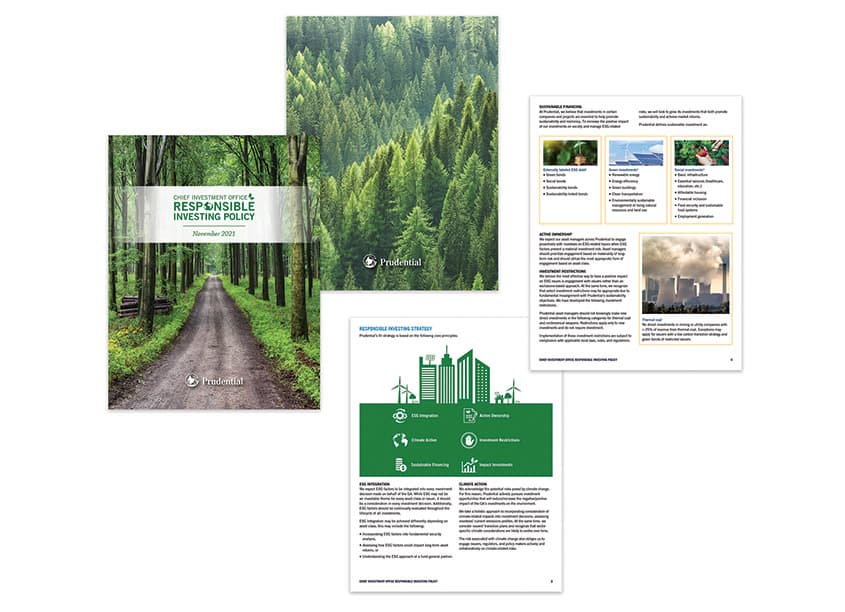 2021 Responsible Investing Policy