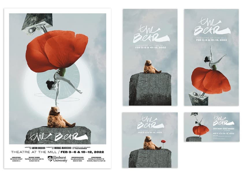 The Bear Campaign