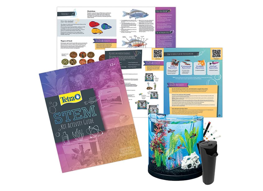 Tetra® STEM Kit Activity Guide