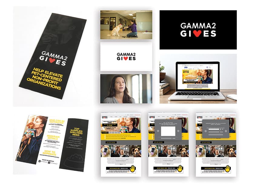 Gamma2Gives Campaign