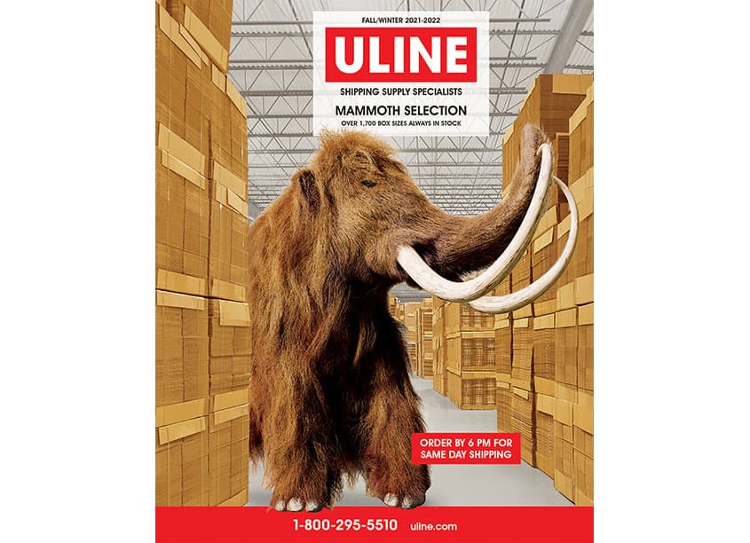 Mammoth Selection Catalog Cover, Fall/Winter 2021-2022
