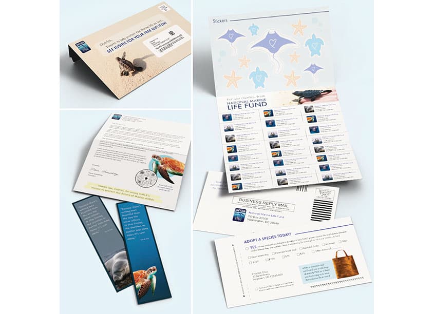 Give and Get Non-Profit Mailer