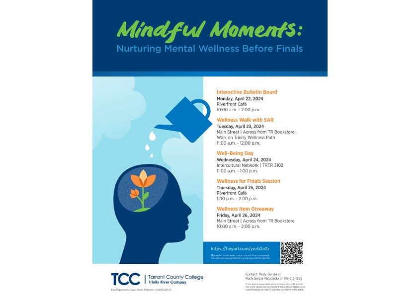 Mindful Moments Wellness Poster
