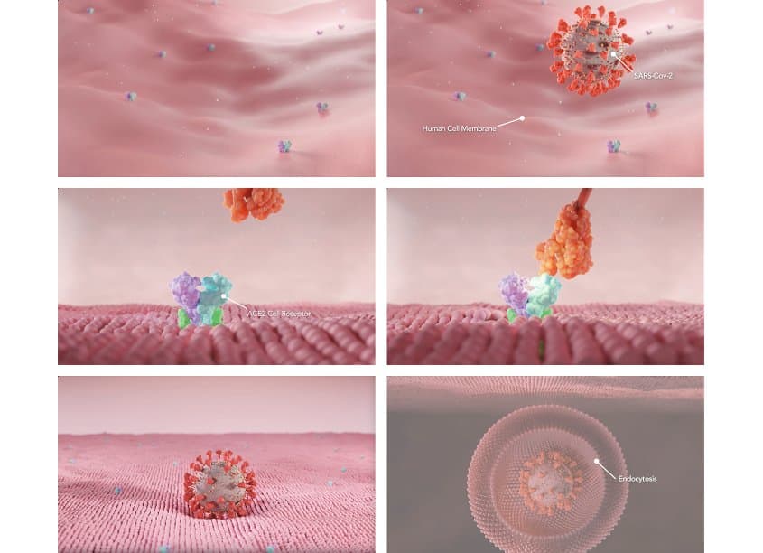 COVID-19 3D Medical Animation
