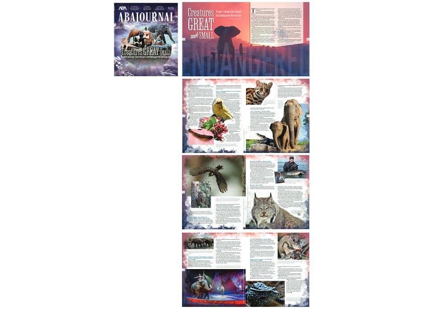 Creatures Great and Small, April/May 2024
