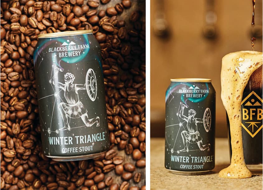 Winter Triangle Coffee Stout