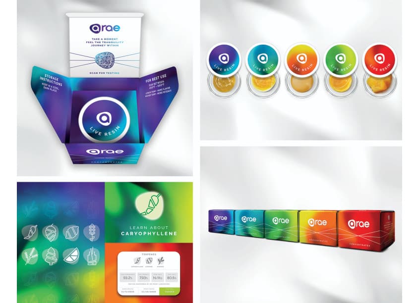 arae Package Design