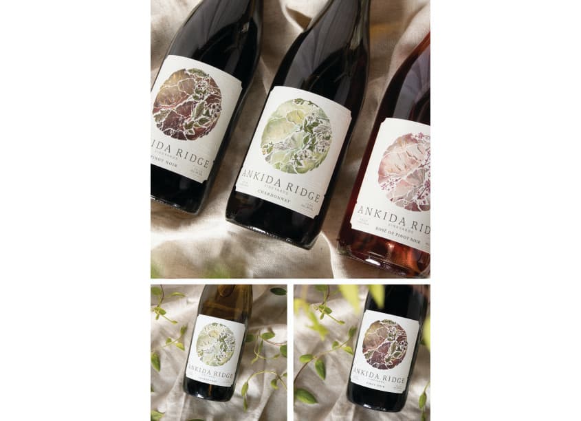 Ankida Ridge Vineyards Rebrand
