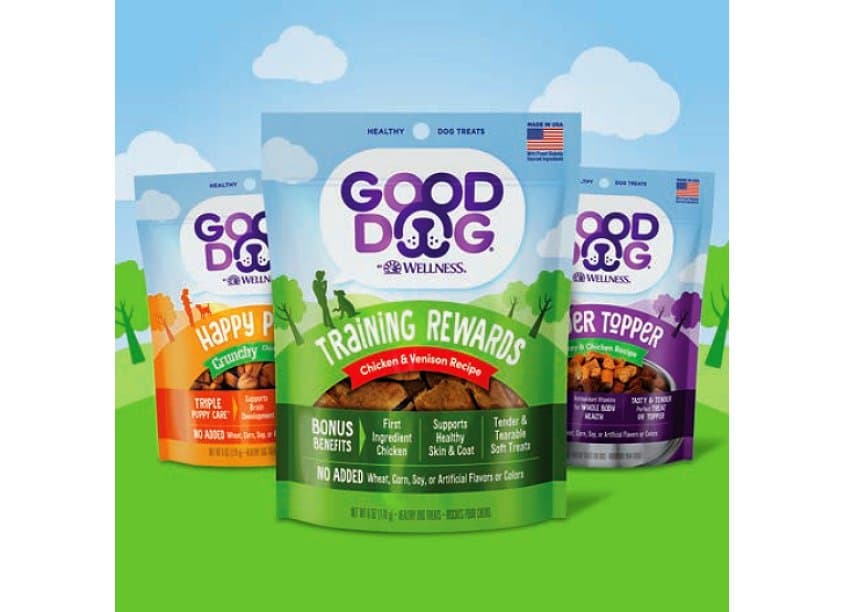 Good Dog by Wellness Launch