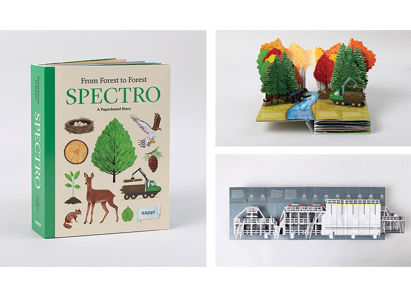 SPECTRO: From Forest To Forest: A Paperboard Story