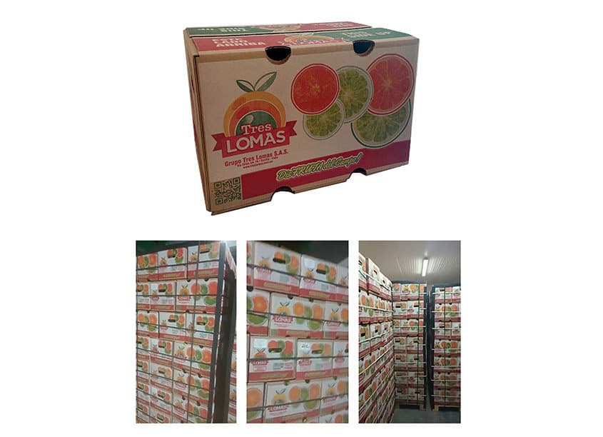 Lemons Box Redesign To Replace Paper w/White Ink