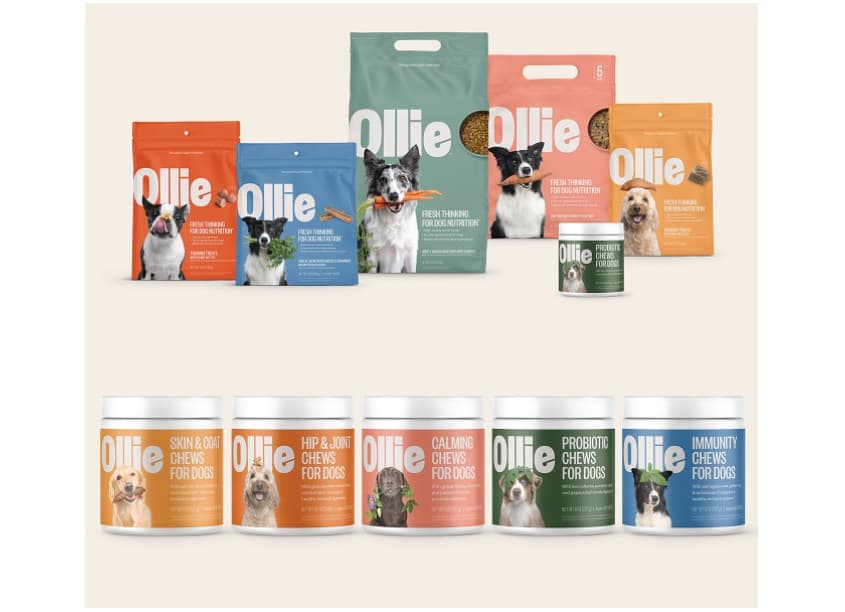 Ollie Retail Launch