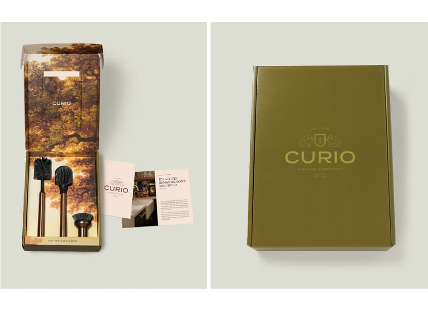 Curio The Ionic Brush Set