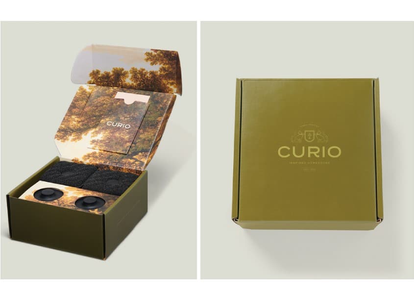 Curio The Ionic Dish Sponge