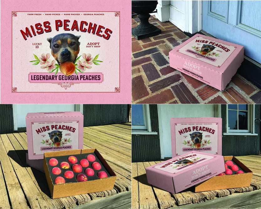 Miss Peaches: Legendary Georgia Peaches