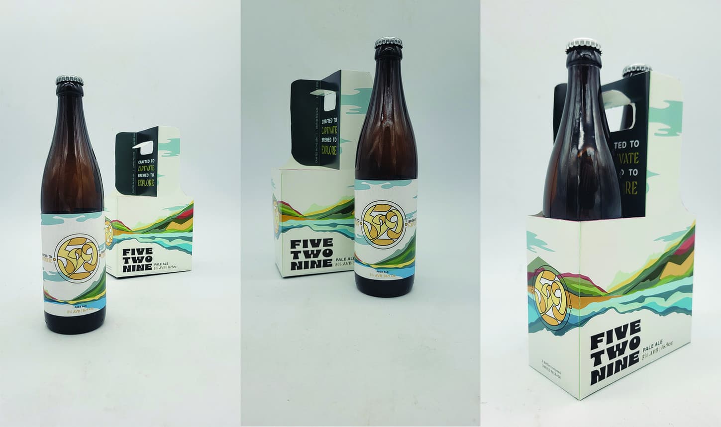 Five Two Nine Design Student Project