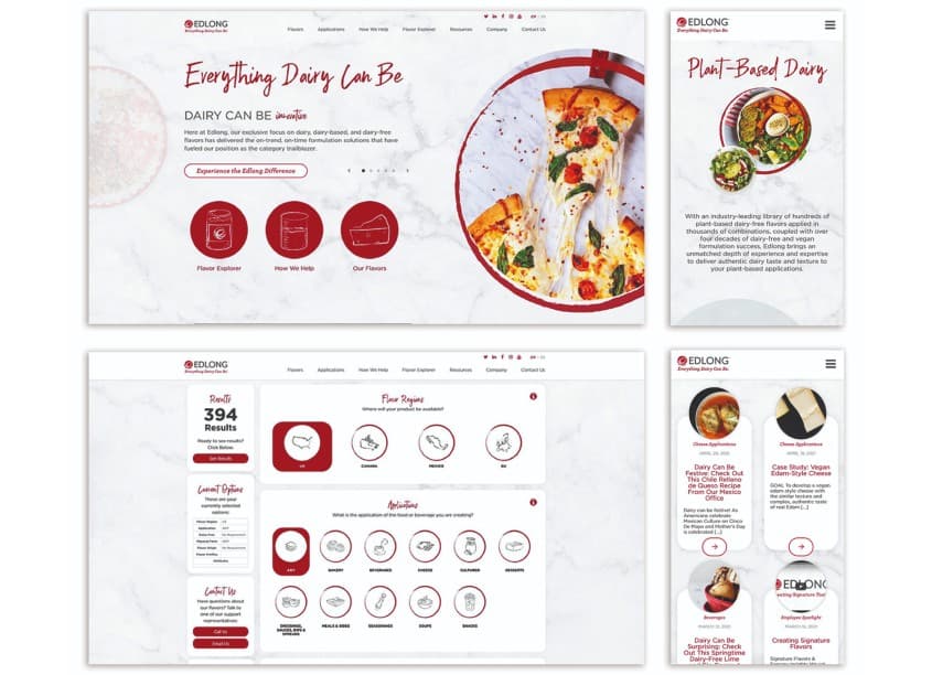 Edlong Website Design
