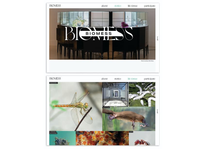 BioMess Website