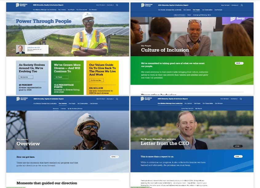 2021 Diversity, Equity, and Inclusion Website