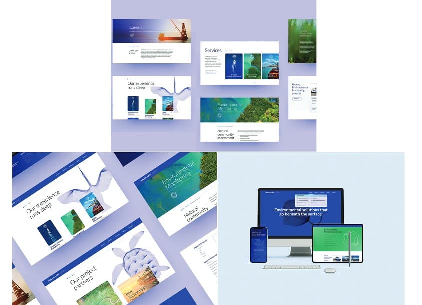 ANAMAR Website