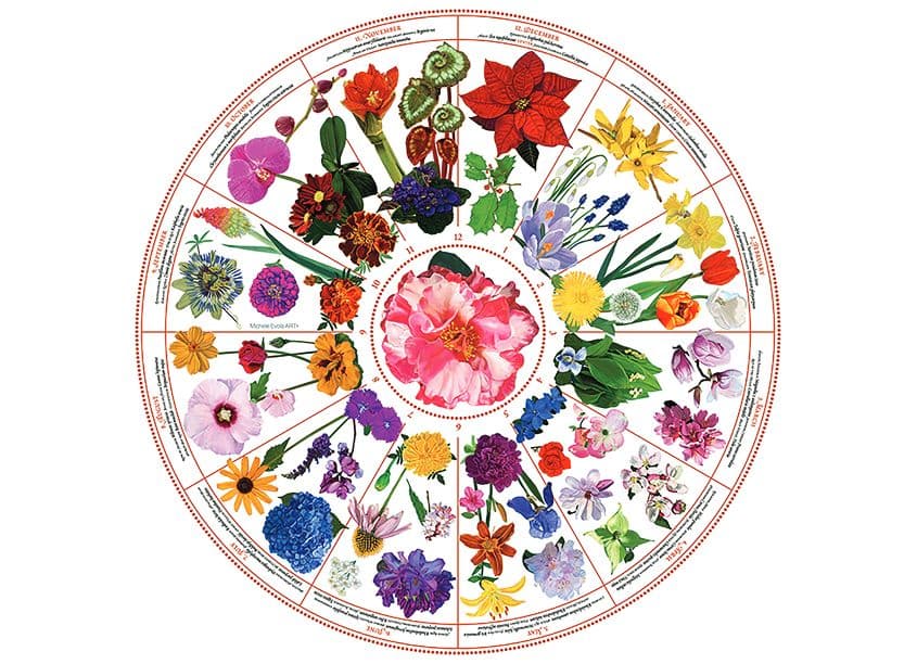 The Botanical Garden Calendar