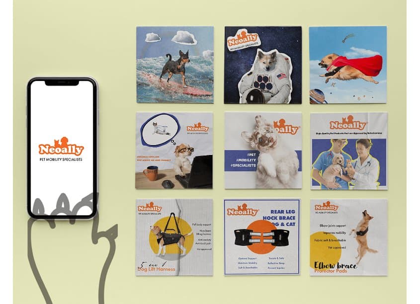 Instagram Posts For Pet Mobility