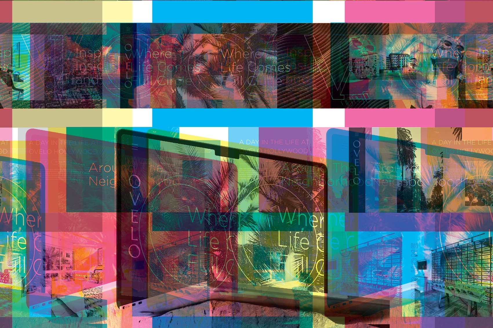Ovelo Website Design