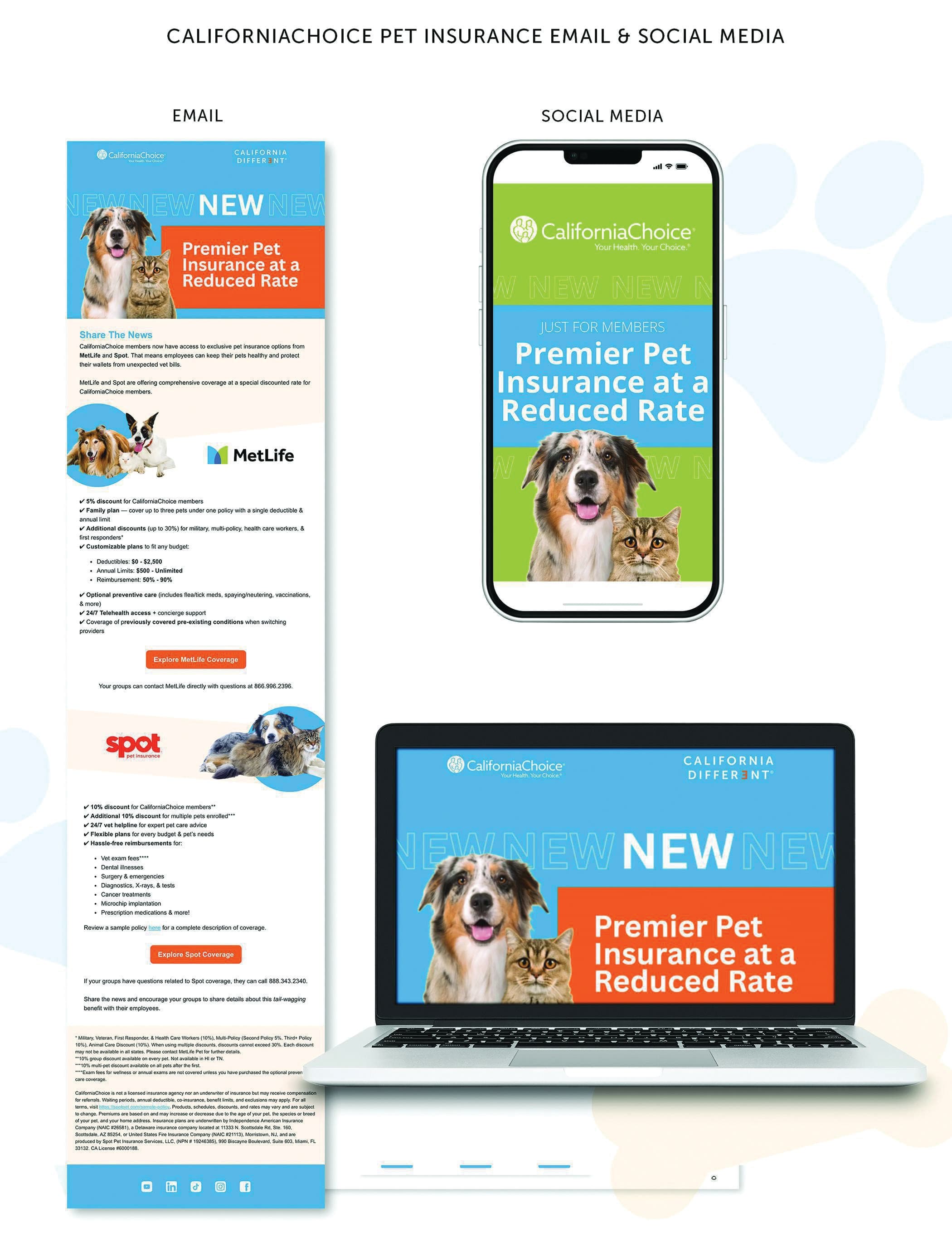 2025 Pet Insurance Campaign Email