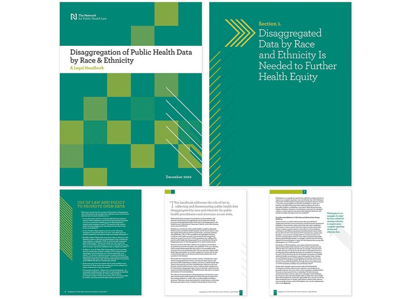 Disaggregation of Public Health Data by Race & Ethnicity: A Legal Handbook