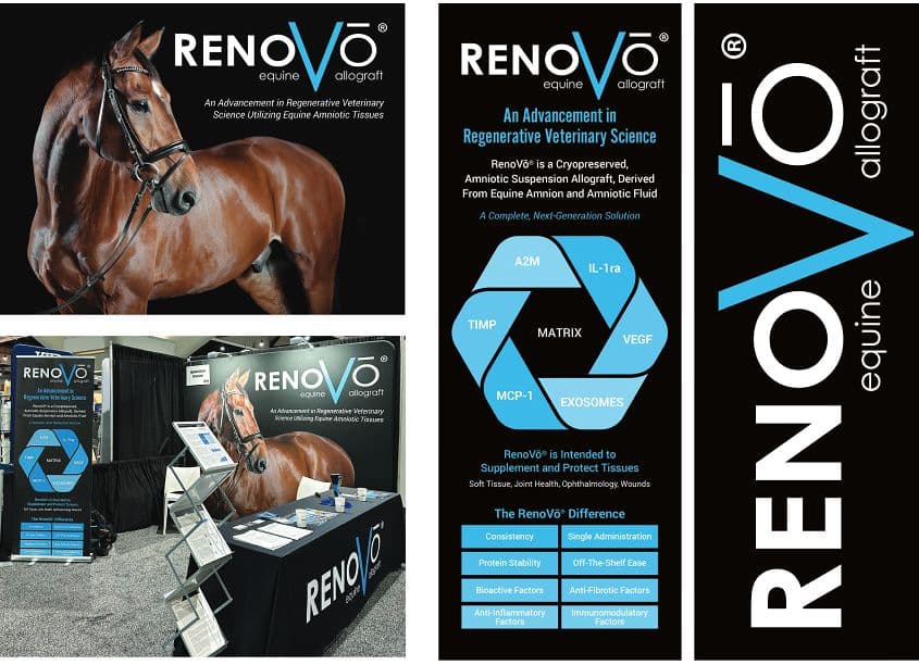 RenoVo Booth