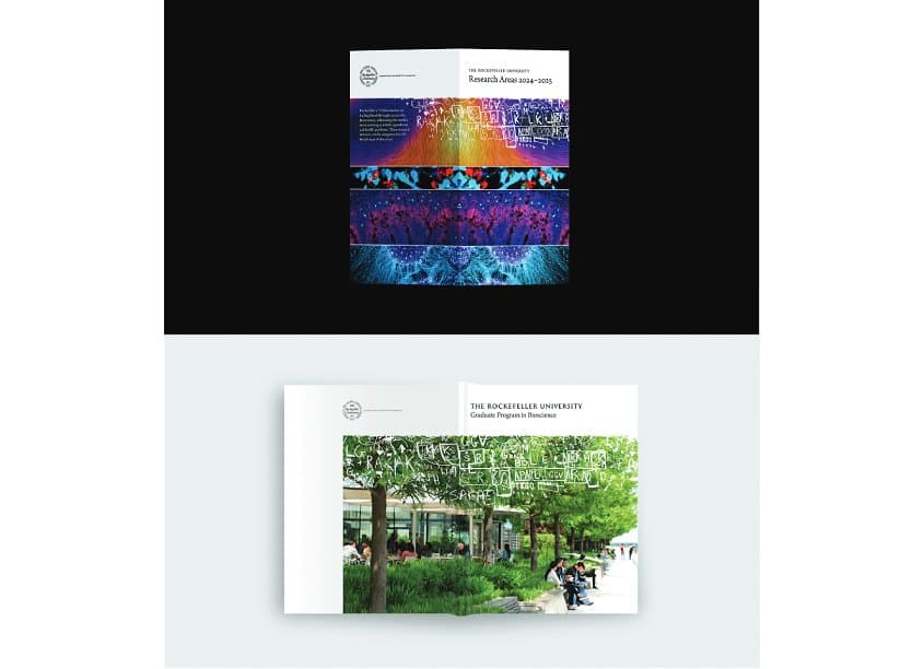 2024 Rockefeller University Graduate Program in Bioscience