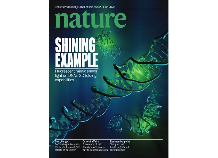 SHINING EXAMPLE Cover Design