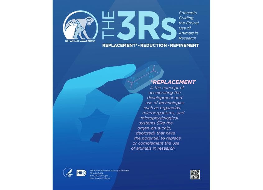 The 3R’s: Replacement, Reduction, Refinement Poster
