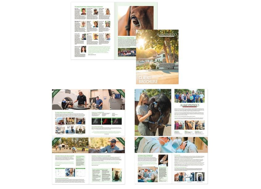 Alamo Pintado Client Brochure