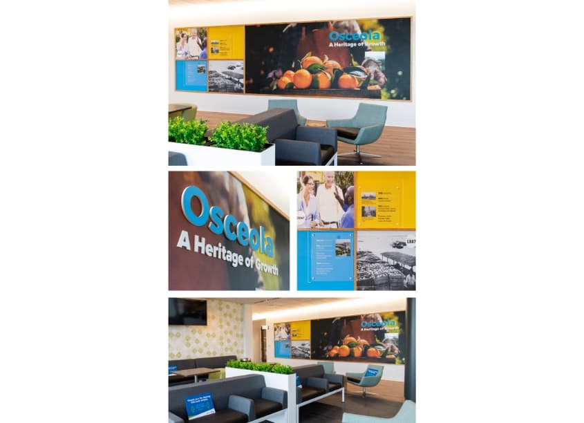 Health Park Kissimmee Artwork Culture Framework Experience