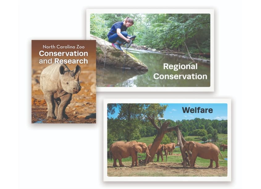 NC Carolina Zoo Conservation Report