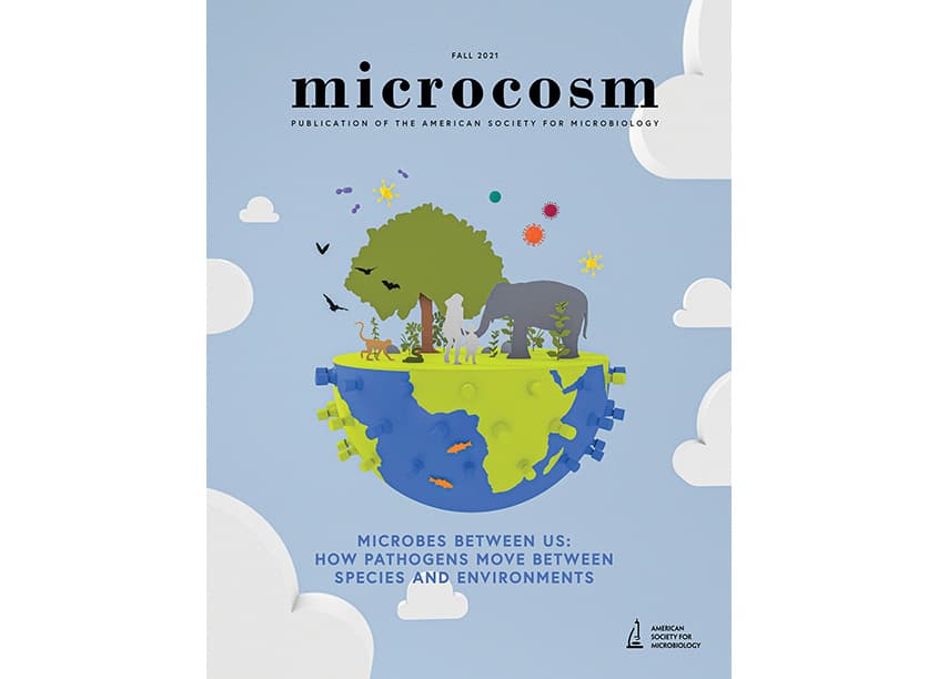 Microcosm Magazine, Fall 2021, Cover Design
