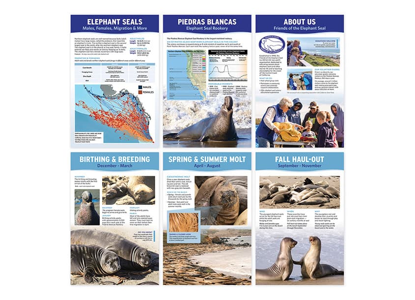 Elephant Seal Visitor Center Poster Series