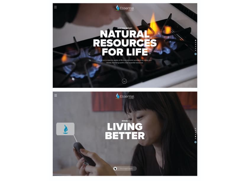 2020 ESG Report | Natural Resources for Life