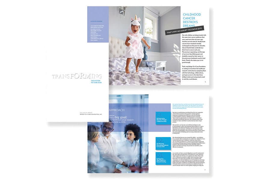 Transform: Bridge To A Cure Annual Report 2022